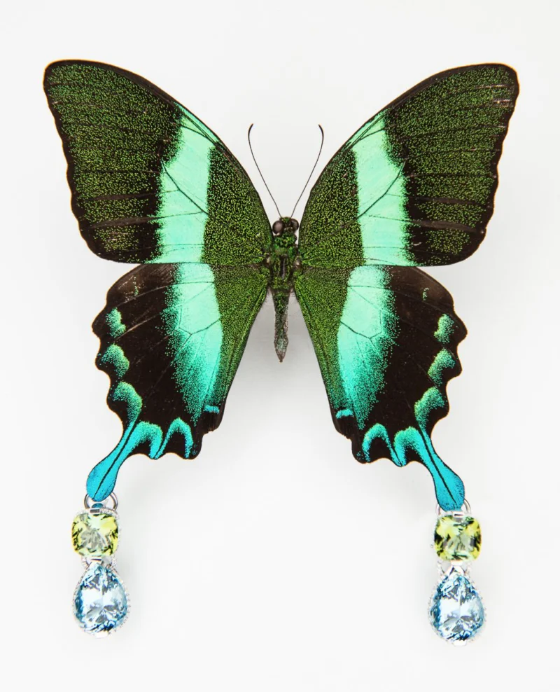 Firmenfotograf Mittelfranken - Unternehmensbilder