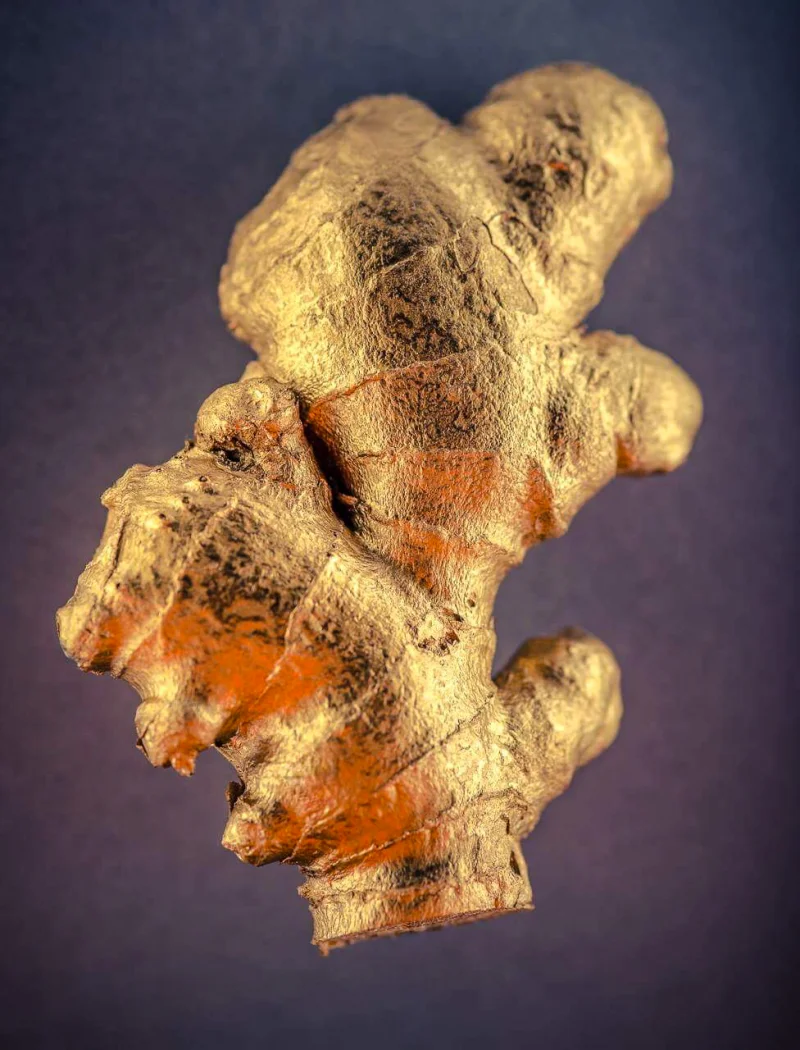 Mitarbeiterfotos im Arbeitsumfeld - Firmenfotografie Franken