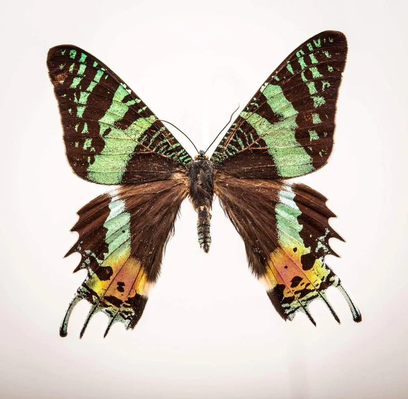 Headshots und Profilbilder - Firmenfotograf Nürnberg