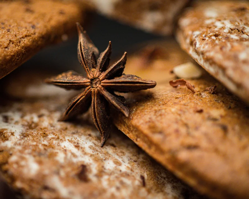 Firmenportrait - Firmenfotograf Hersbruck