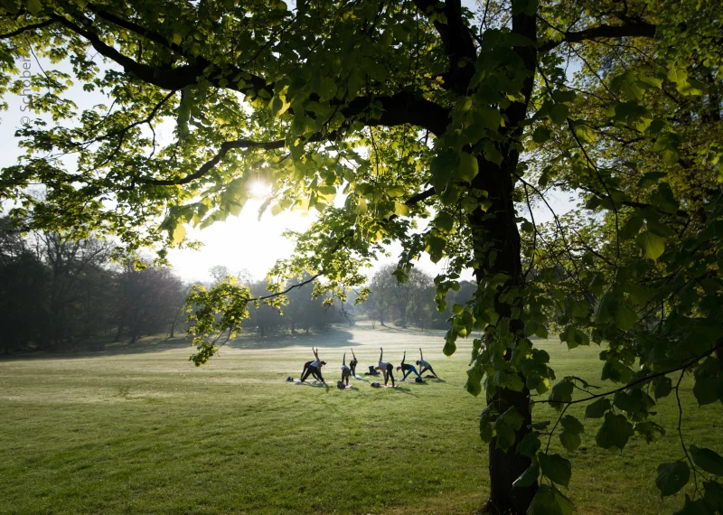 Headshots und Profilbilder - Firmenfotograf Nürnberg