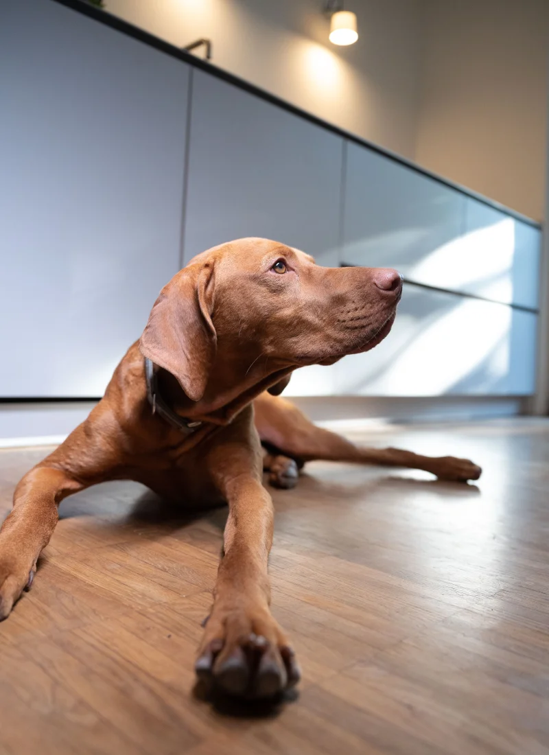 Mitarbeiterportraits Franken - authentisch und professionell